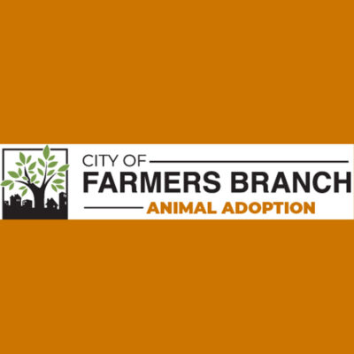 Animal Adoption